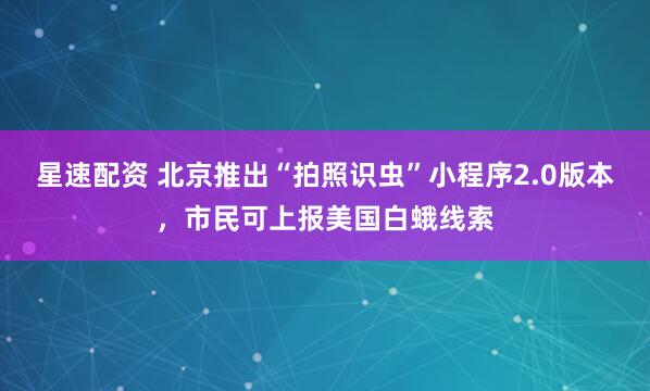 星速配资 北京推出“拍照识虫”小程序2.0版本，市民可上报美国白蛾线索