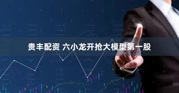 贵丰配资 六小龙开抢大模型第一股