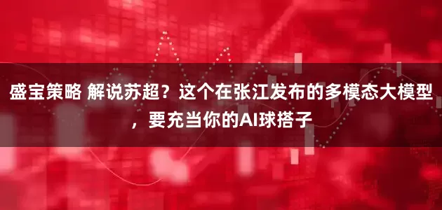 盛宝策略 解说苏超？这个在张江发布的多模态大模型，要充当你的AI球搭子