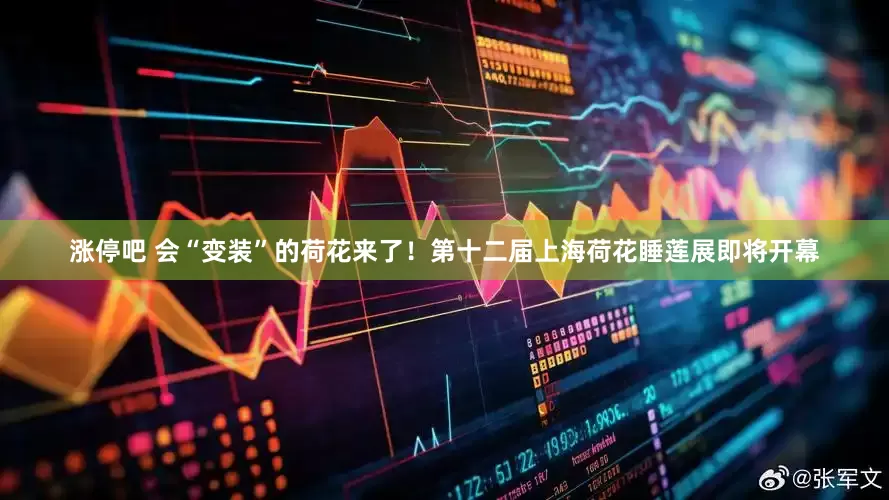 涨停吧 会“变装”的荷花来了！第十二届上海荷花睡莲展即将开幕