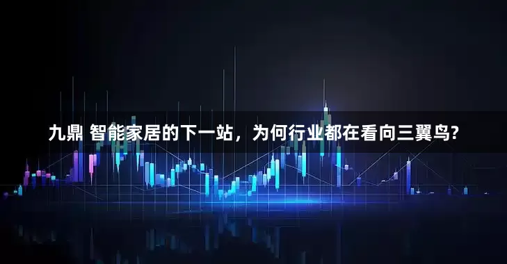 九鼎 智能家居的下一站，为何行业都在看向三翼鸟?