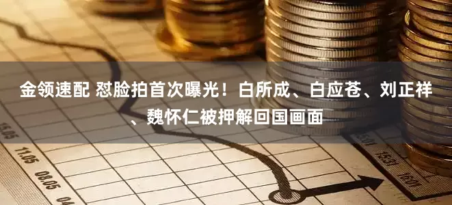 金领速配 怼脸拍首次曝光！白所成、白应苍、刘正祥、魏怀仁被押解回国画面